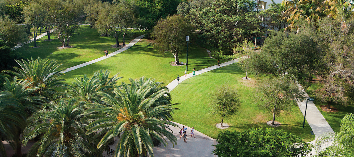 An aerial photo "the greenery" on the University of Miami Coral Gables campus. 