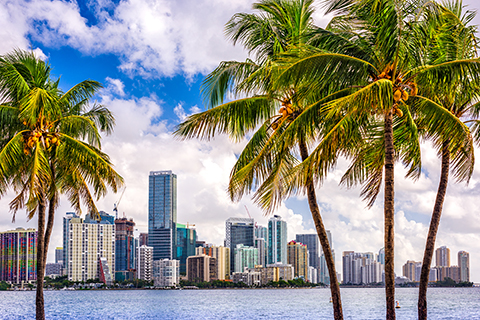A stock photo of the Downtown Miami skyline as seen from the beach.